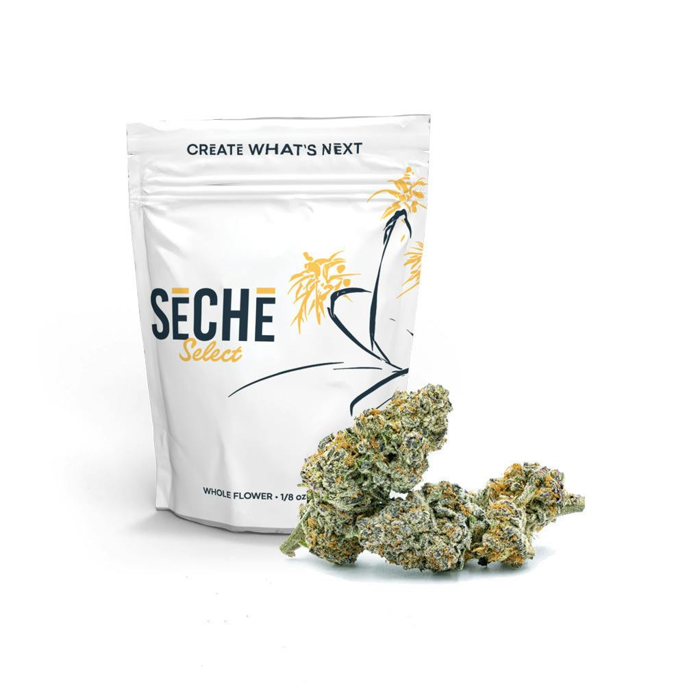 Brainstew | Big Buds | 7g by Seche