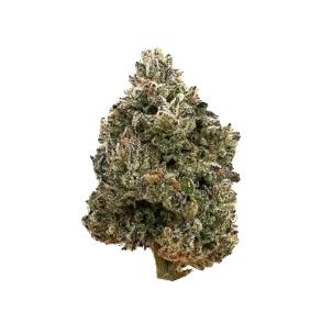 Lemon Cherry a la mode | Smalls | 1g at Sunkissed Farm Dispensary