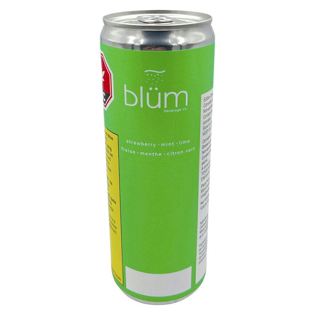 Strawberry Mint Lime | Carbonated | 355ml