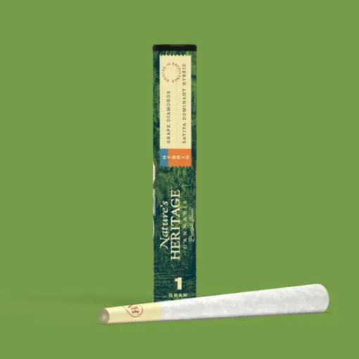 Orange Chameleon | Joints | 1g by Nature's Heritage