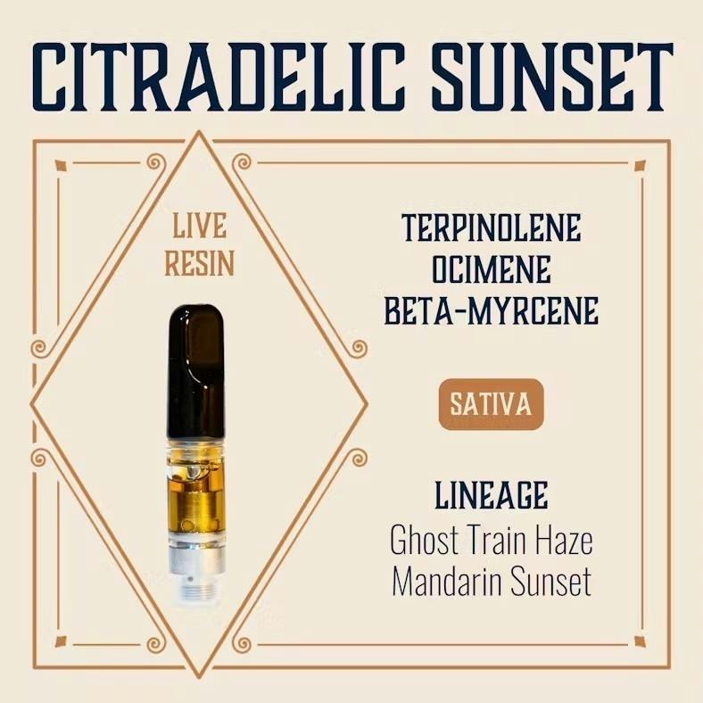 Citradelic Sunset | Cartridge | 0.5g by Elevate