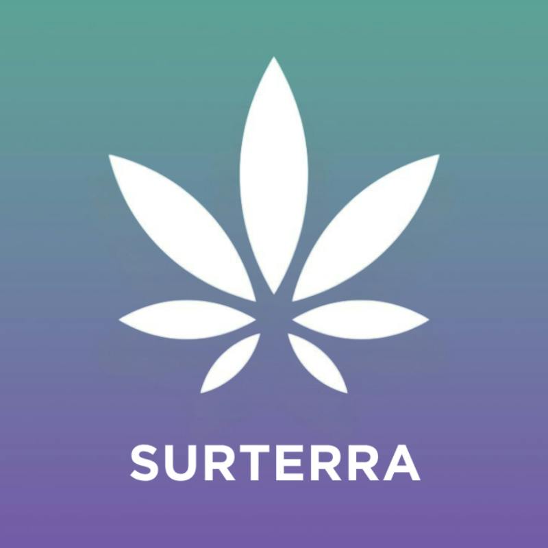 Zen 1:4 | Solvent | 1g by Surterra Wellness