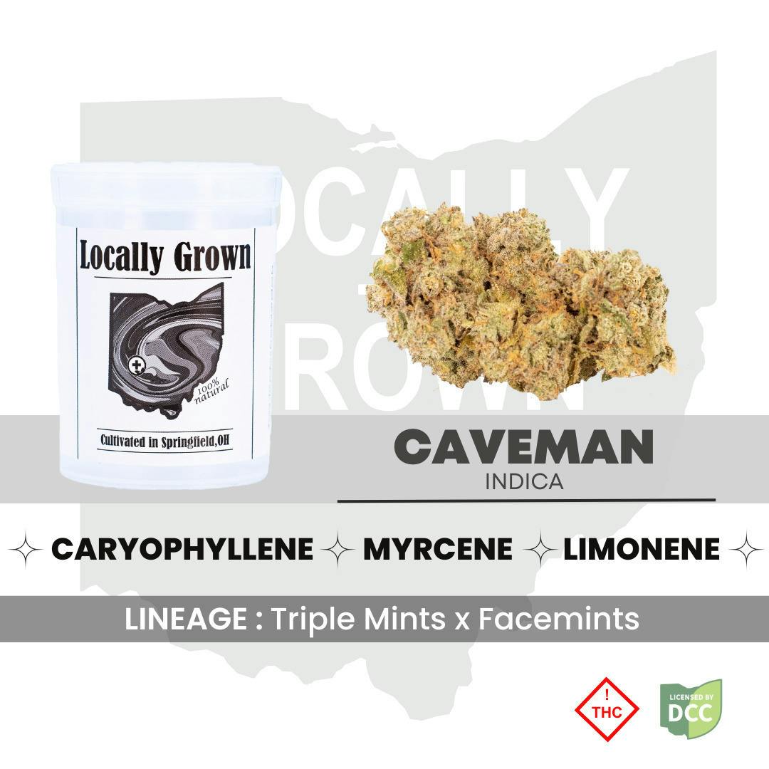 caveman | Big Buds | 2.83g at Pure Ohio Wellness