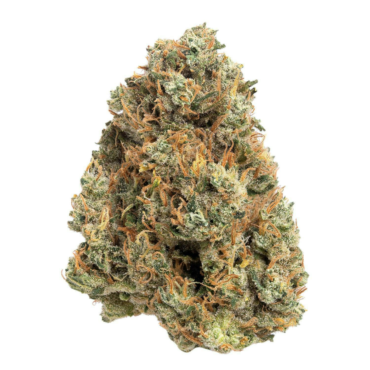 Poison · Big Buds