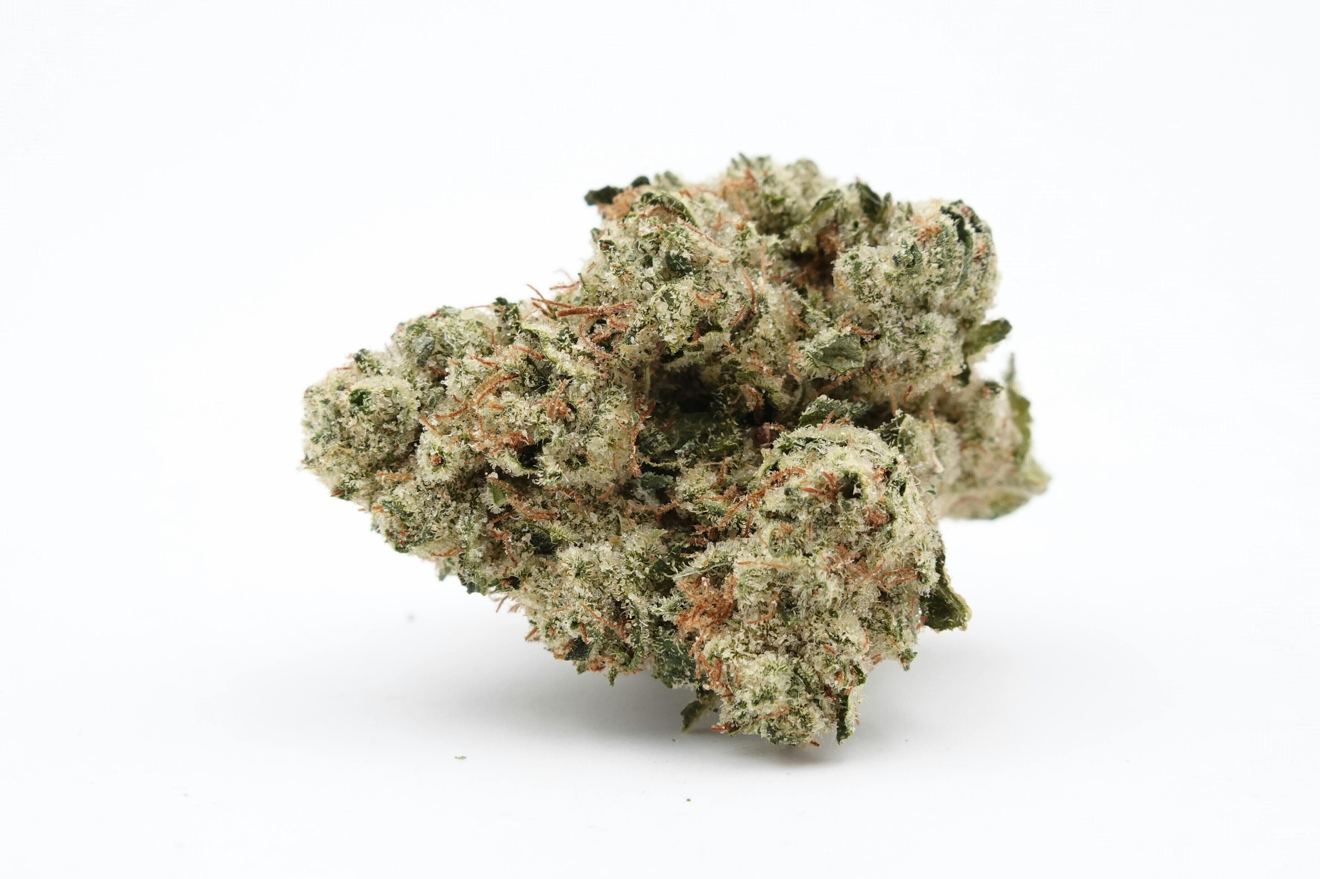 Motorbreath | Big Buds | 1g