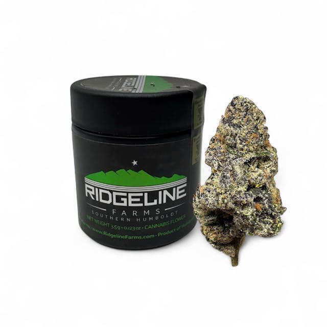 BLACKBERRY CAVIAR — Blackberry Caviar