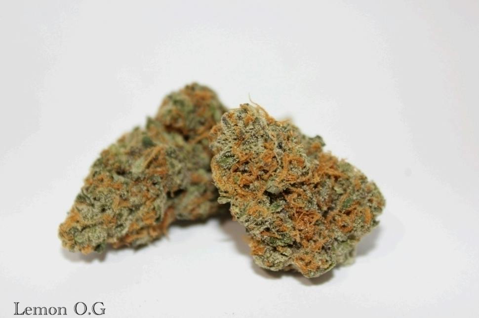 Lemon OG Haze | Big Buds | 3.5g