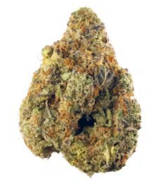 Stardawg | Big Buds | 14g by Satori