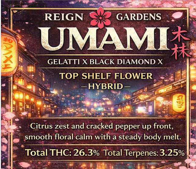 umami | Big Buds | 3.5g