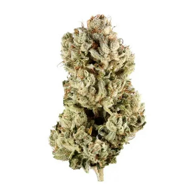 GG4 | Big Buds | 14g
