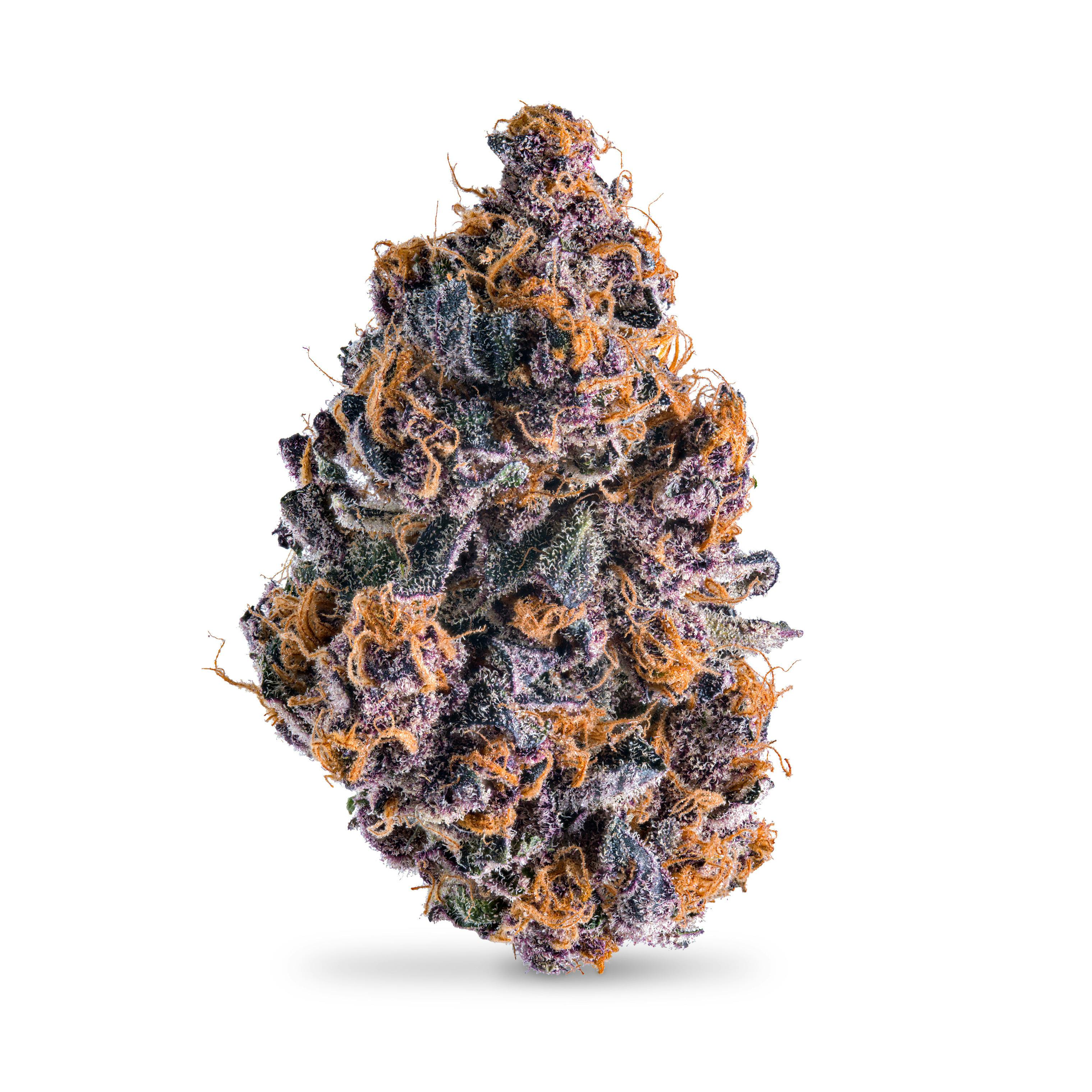 Sour Dragon Fruit | Big Buds | 1g