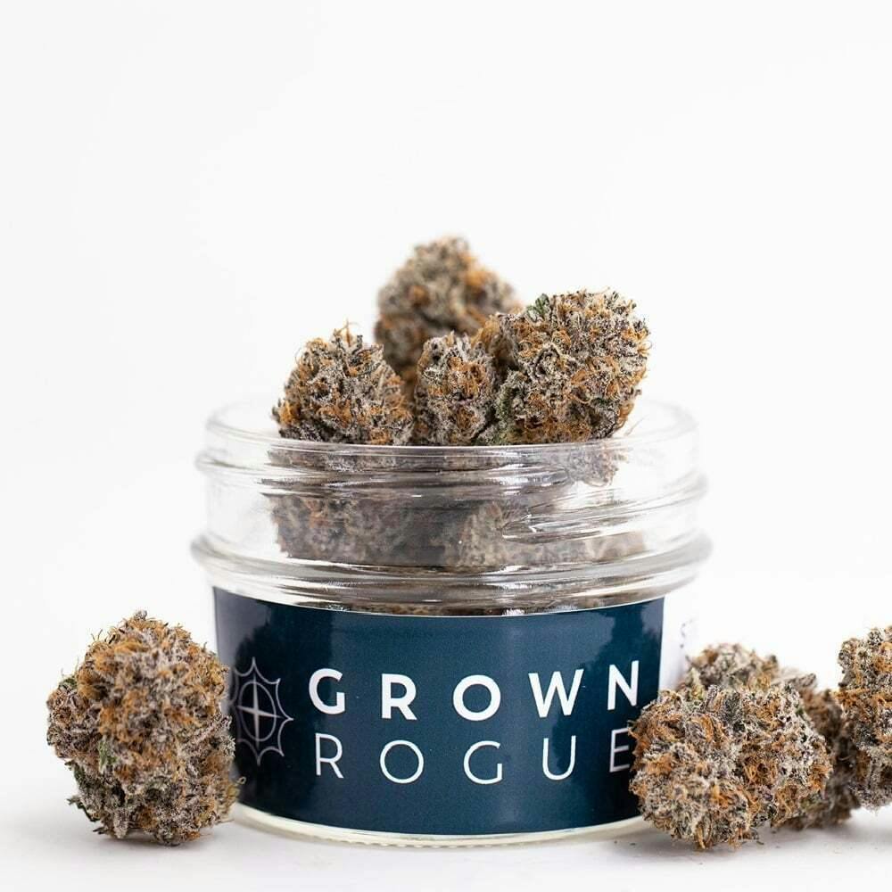 Orange Gummi | Big Buds by Grown Rogue