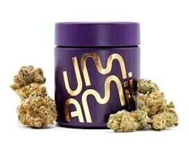 Wedding Cake | Buds | 3.5g