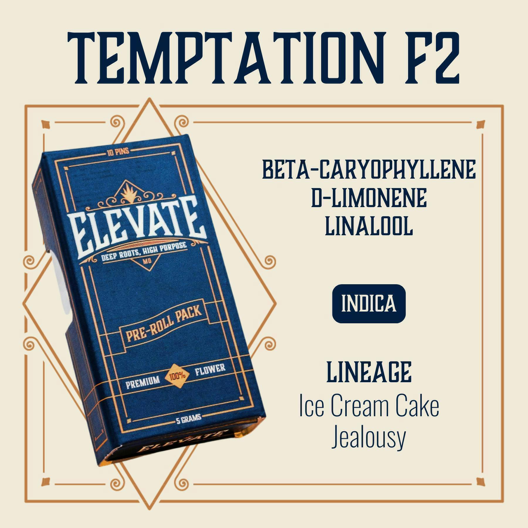 Temptation F2 | Minis | 0.5g | 10pk