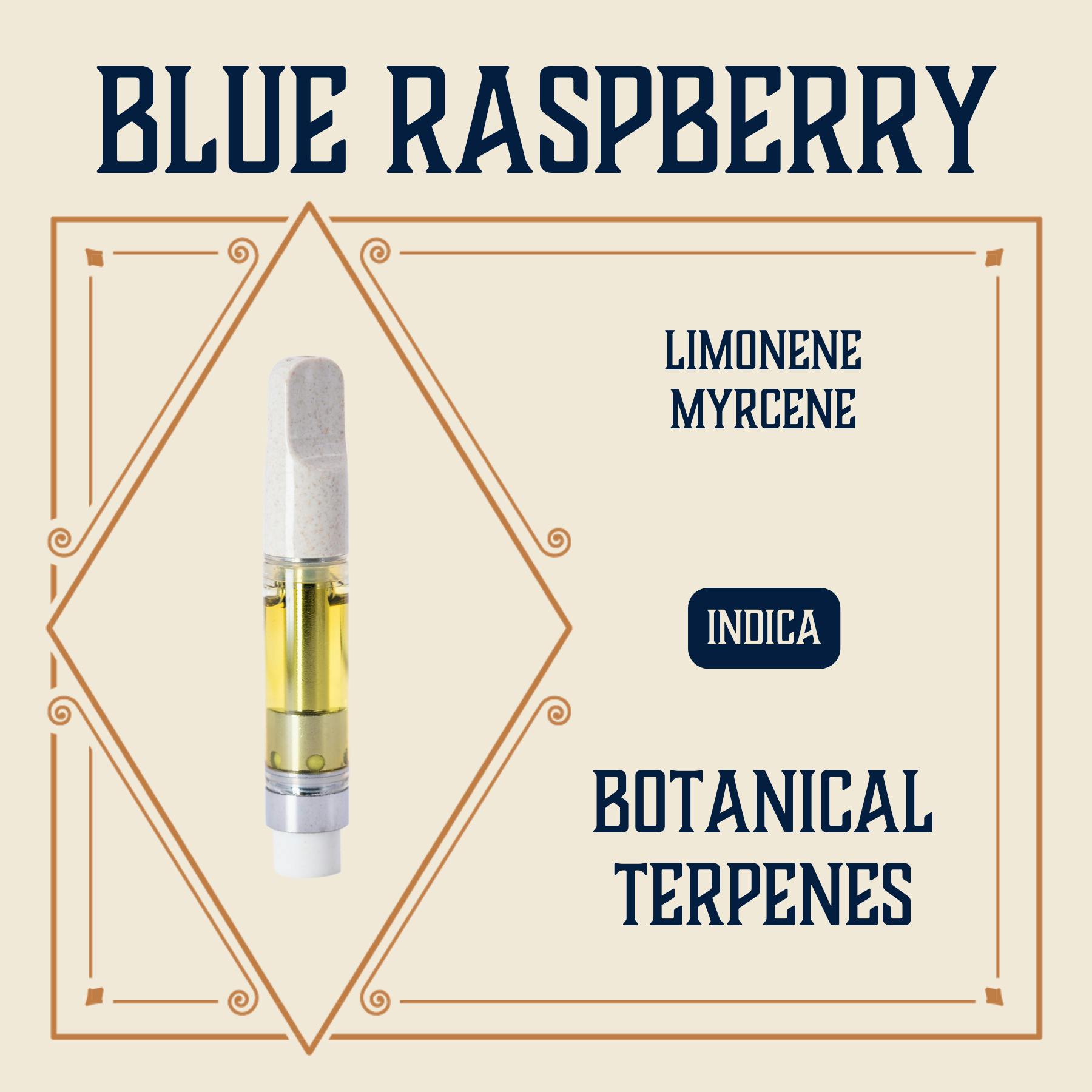 Blue Raspberry | Cartridge | 1g by Elevate