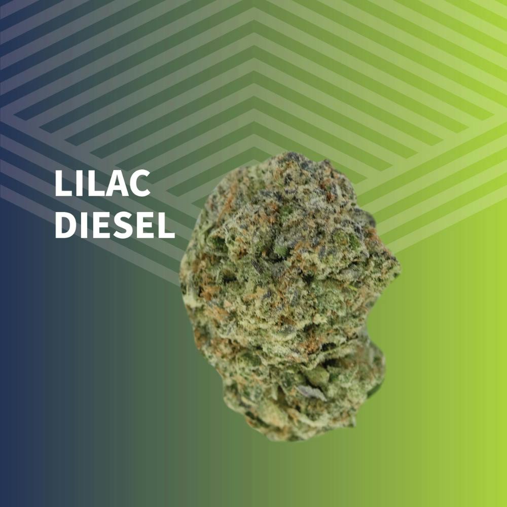 Lilac Diesel | Big Buds | 1g at Pure Dakota Health of Bismarck