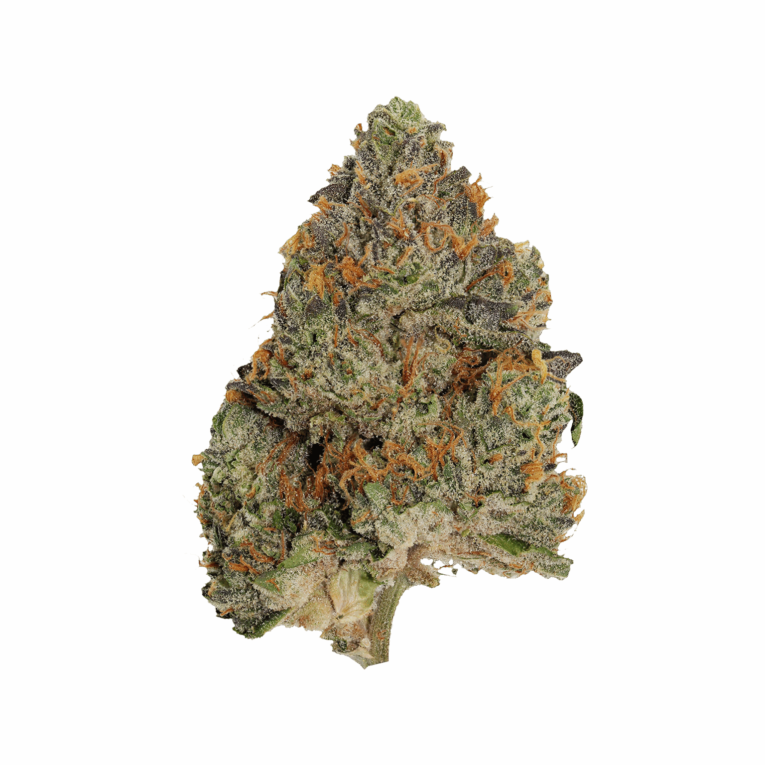Blue Zushi | Big Buds | 3.5g