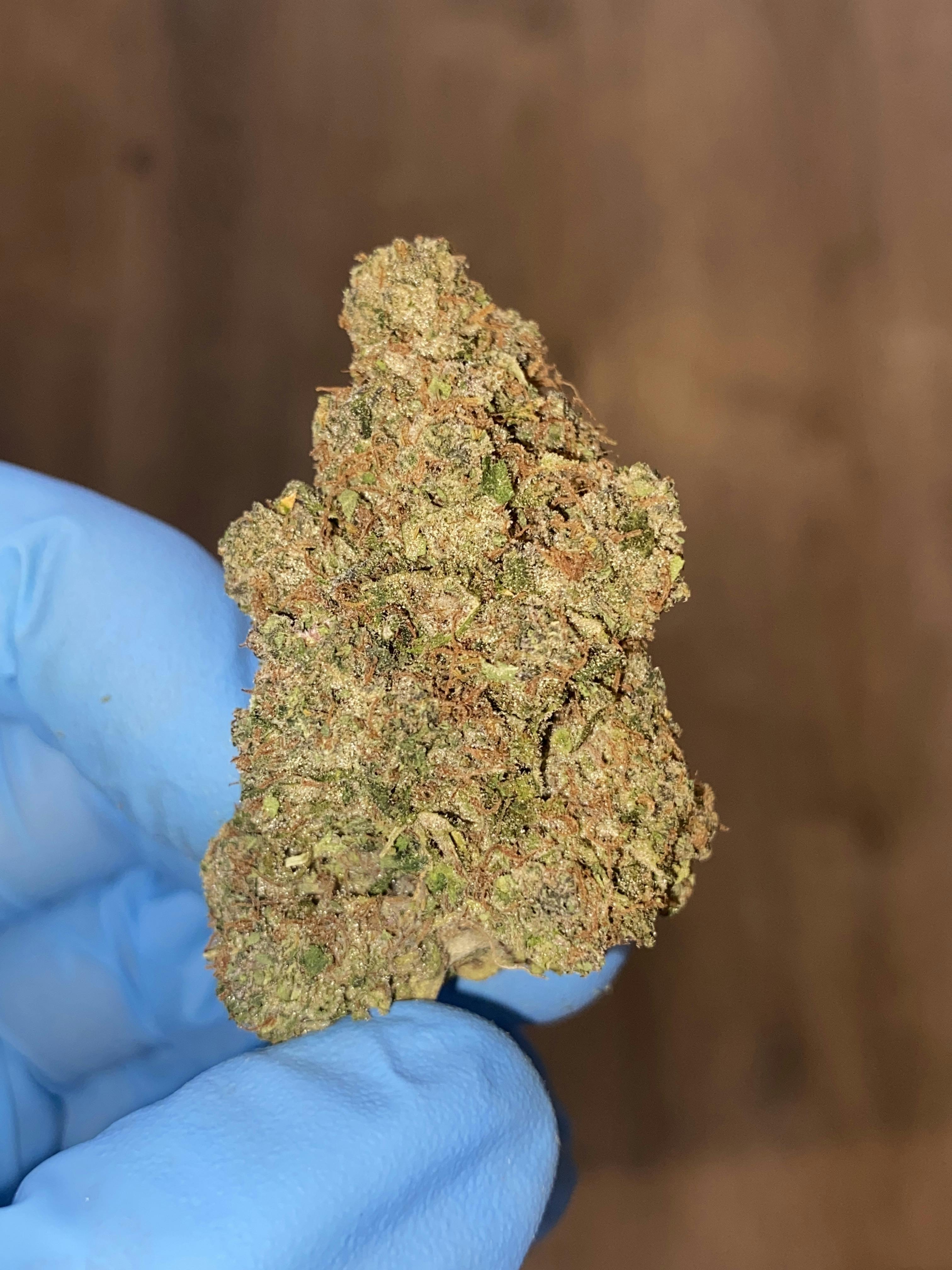 Tropicana Pie Eyed | Big Buds | 14g by The Green Well