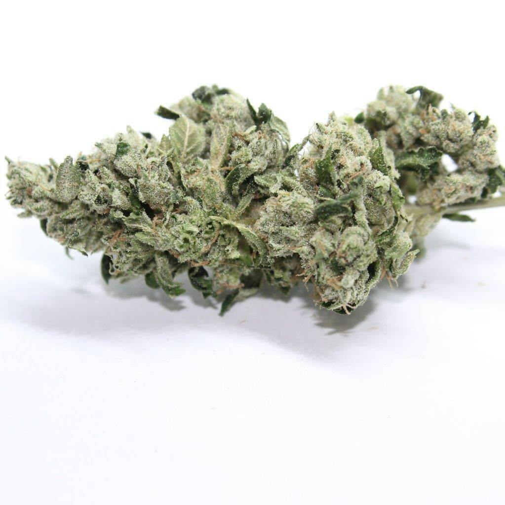 Sour Diesel | Big Buds | 1g