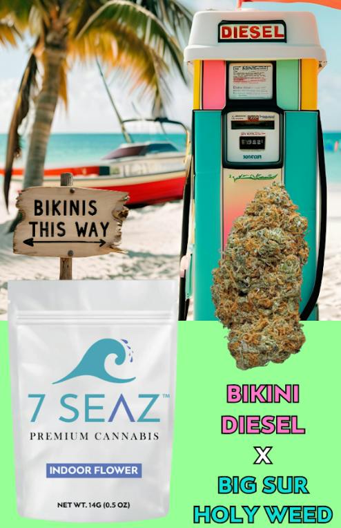 Bikini Diesel x Big Sur Holy Weed | Big Buds | 14g