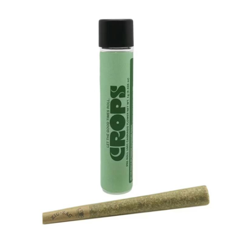 Orange Malt | Joints | 1g