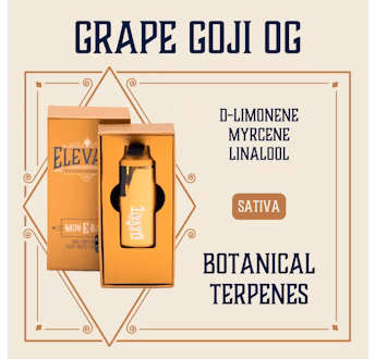 Grape Goji OG | Disposable | 1g by Elevate