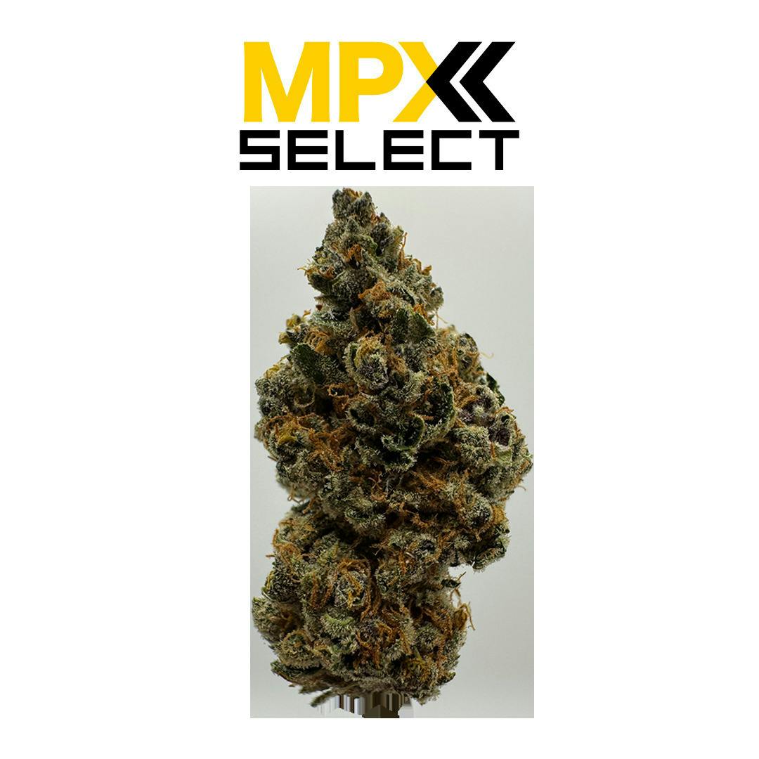 Grass Valley Kush | Big Buds | 3.5g by MPX (Melting Point Extracts)
