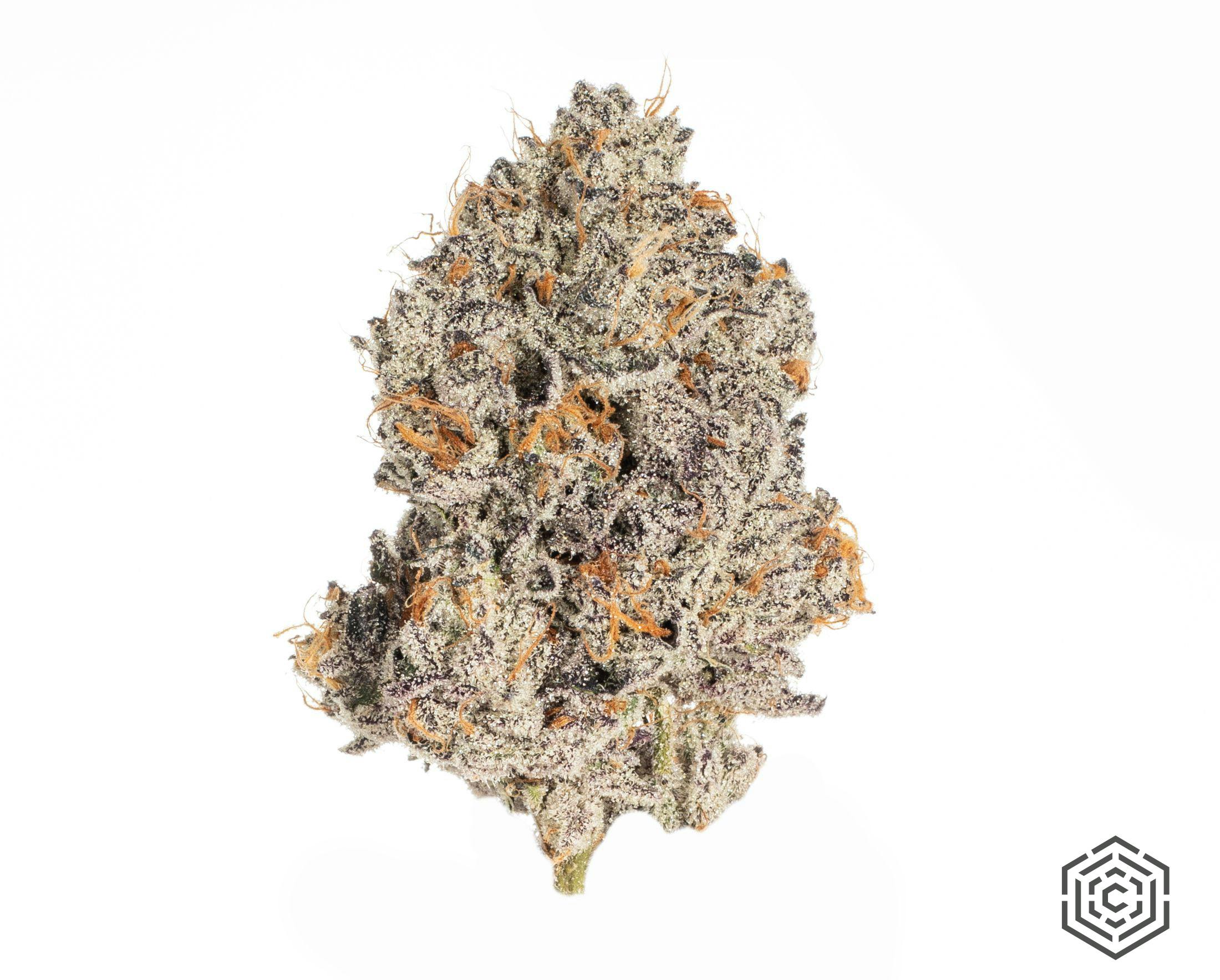 ocifer xx | Big Buds | 3.5g