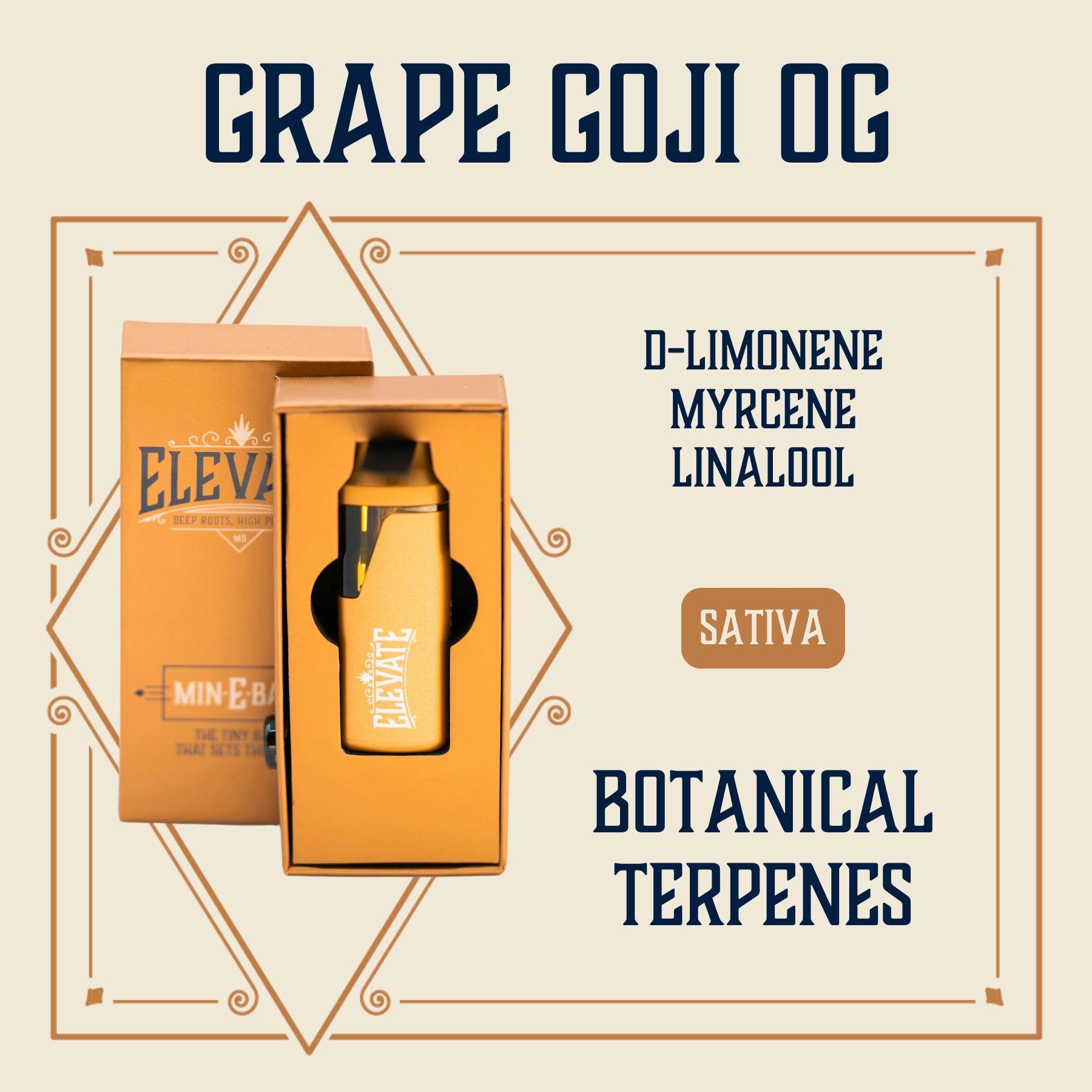 Grapefruit | Disposable | 1g by Elevate