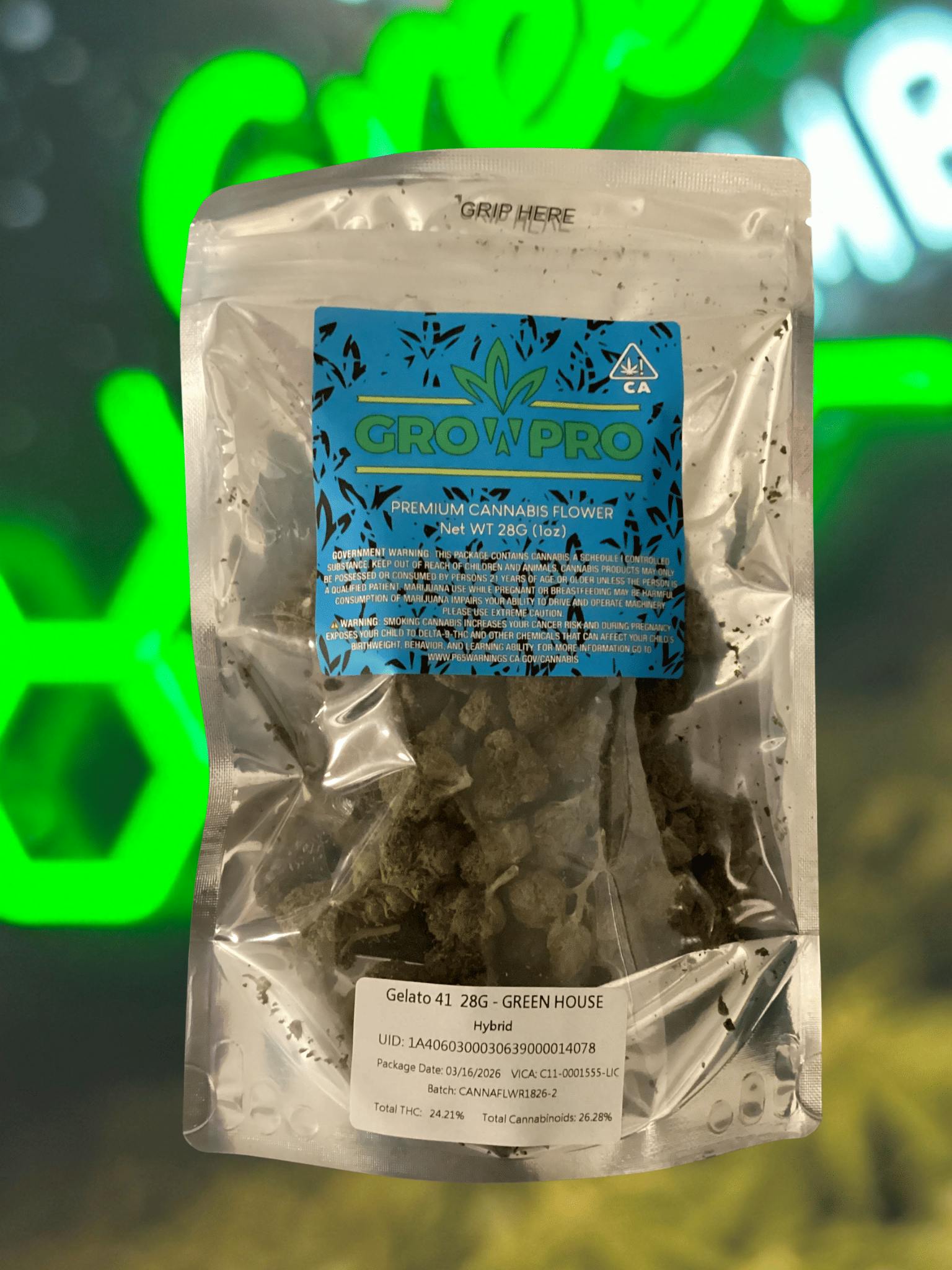 Gelato 41 | Big Buds | 1oz