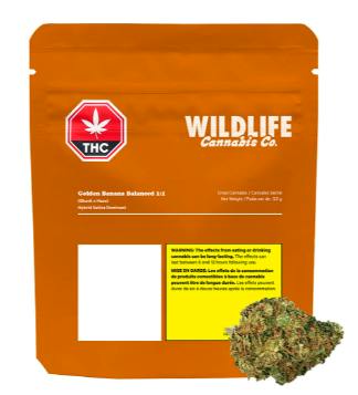 Golden Banana Balanced | Big Buds | 3.5g