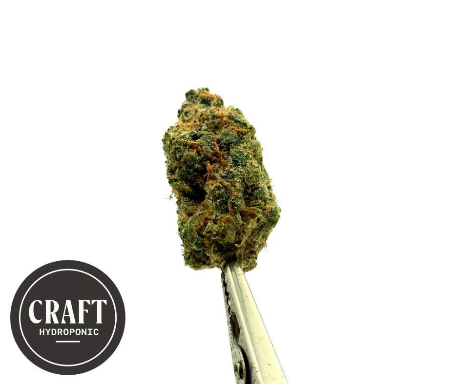 Platinum | Big Buds | 1g