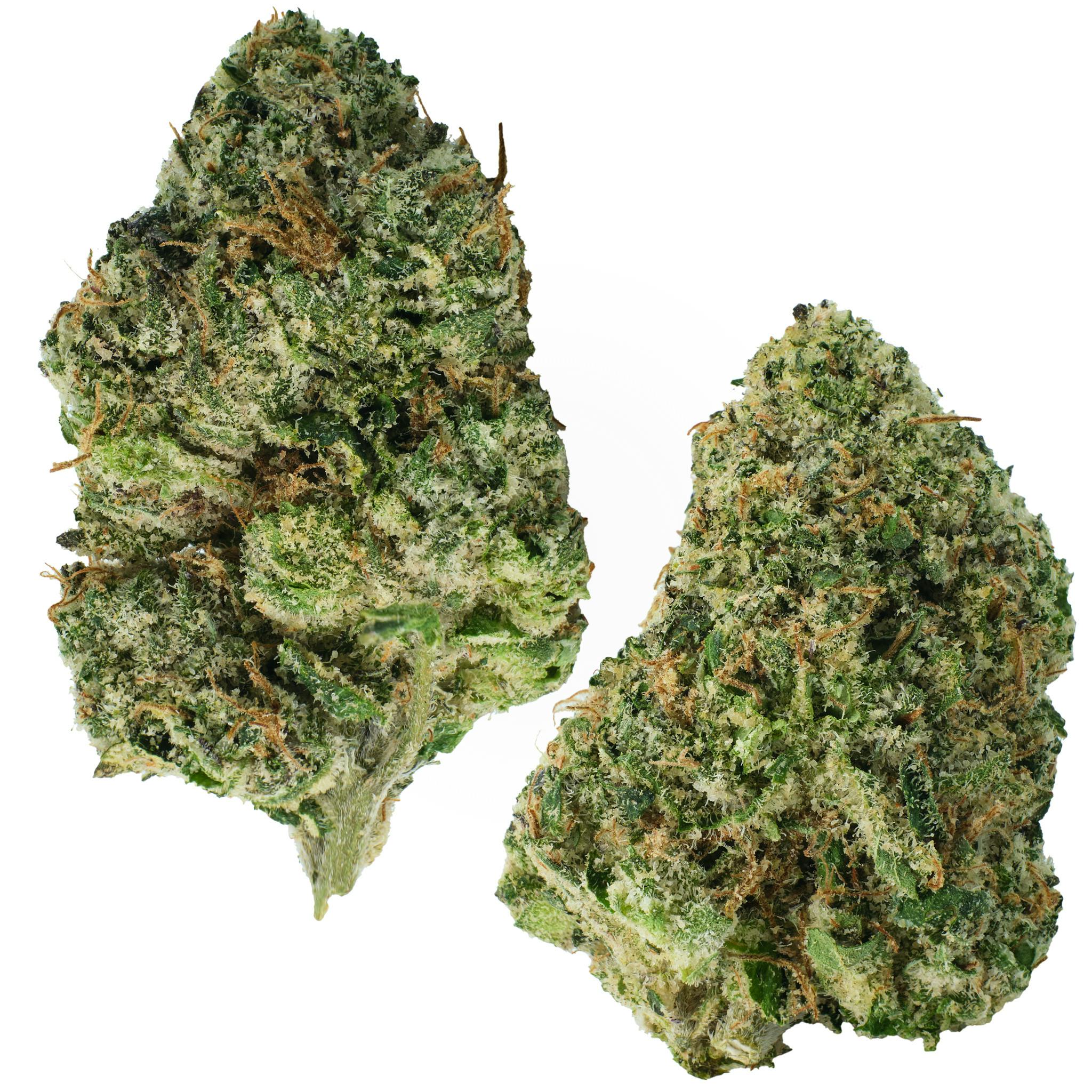 Lemon Cherry Gelato | Big Buds | 1g