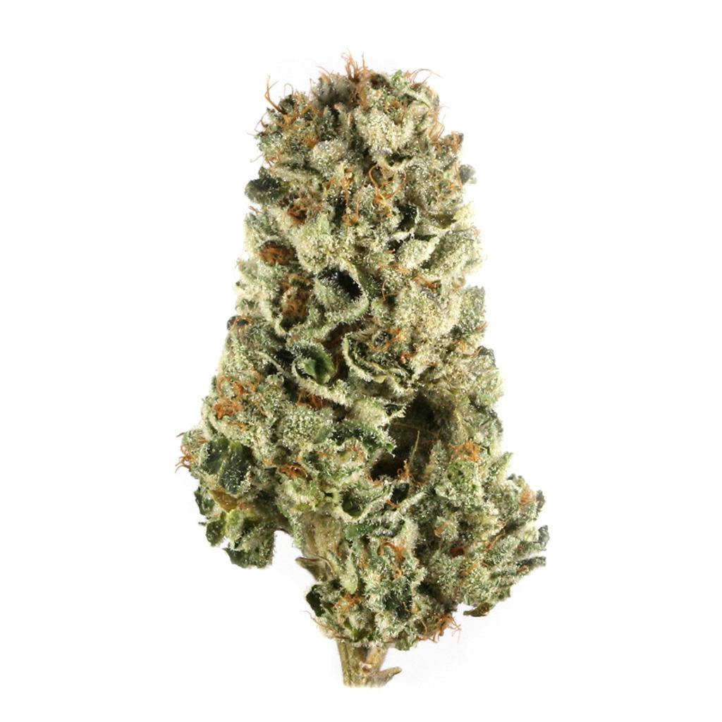 Matanuska Thunder | Big Buds | 3.5g at Bold Dispensary