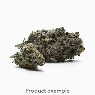 Ritz Carlton Big Buds