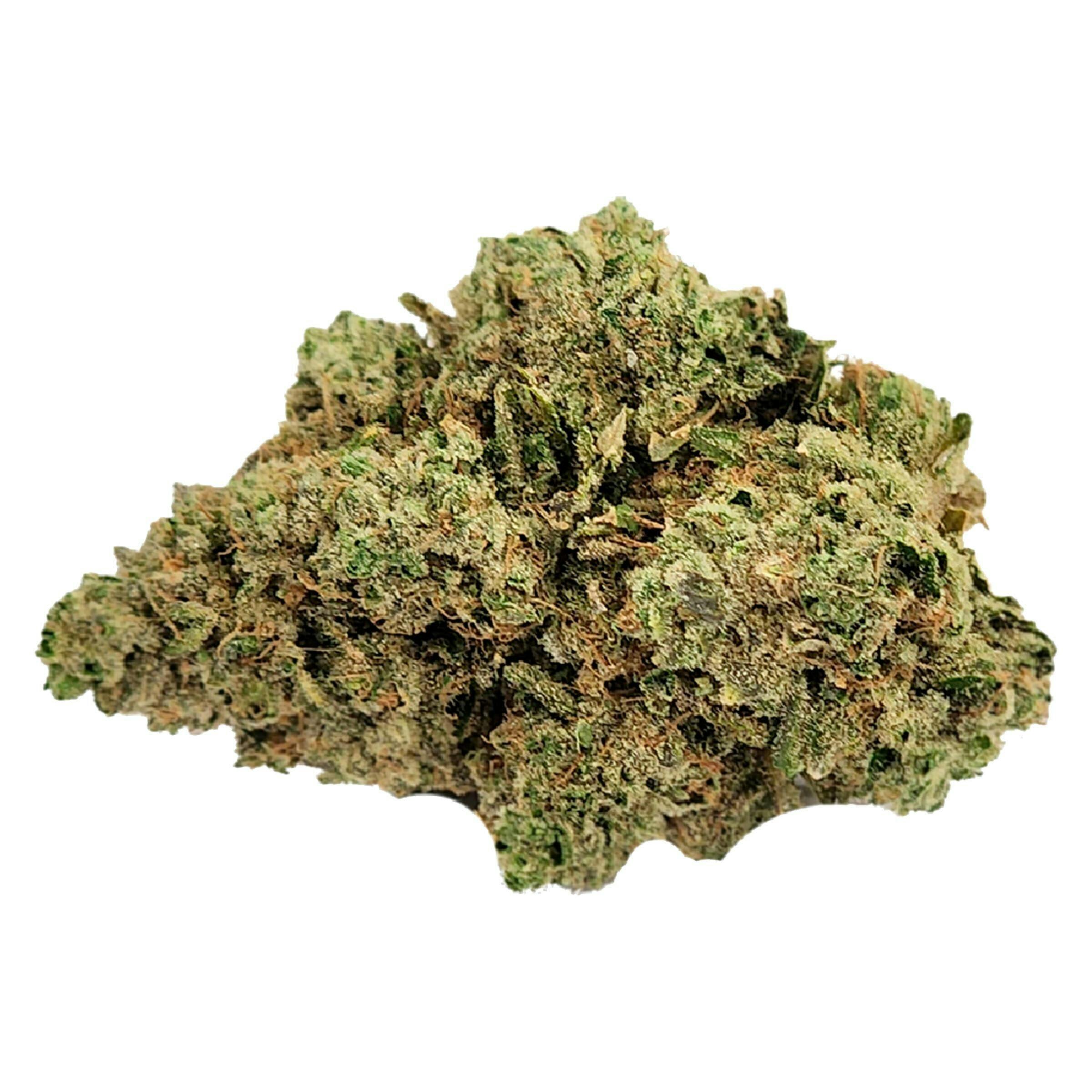 Bluenose Berry | Big Buds | 7g