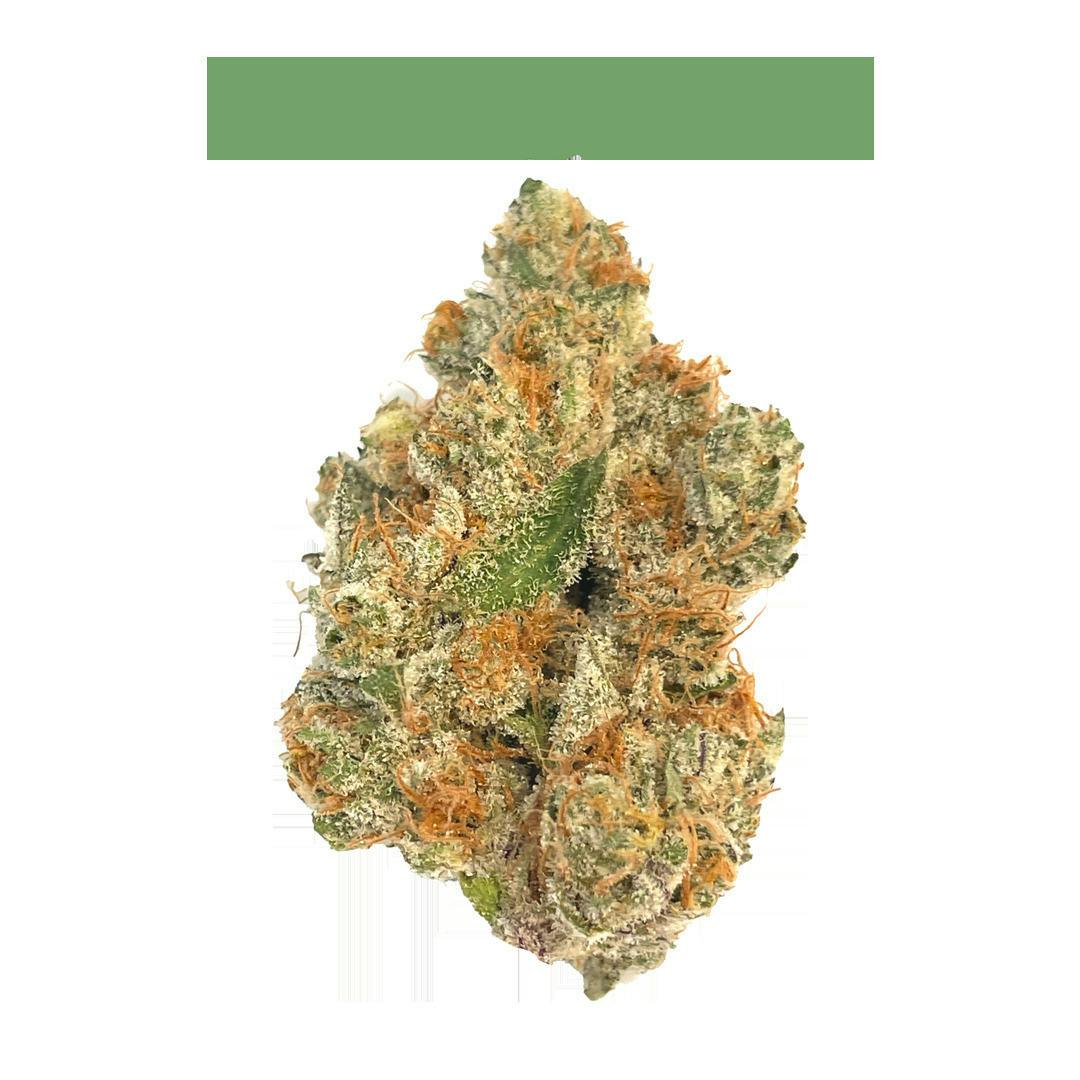 Tropical Temptress | Big Buds | 3.5g