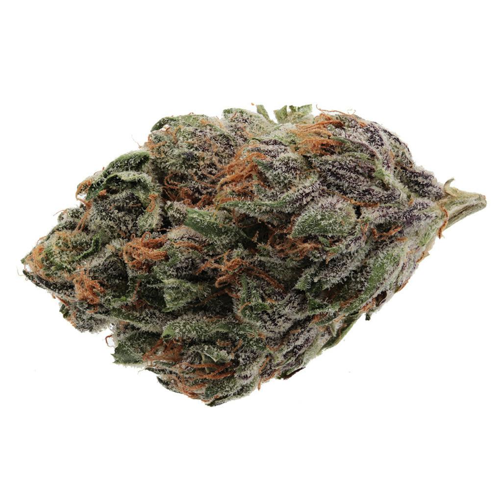 Mango Sapphire | Big Buds | 3.5g