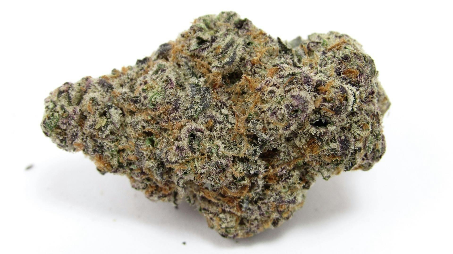 Motorhead x MAC | Infused Flower | 14g