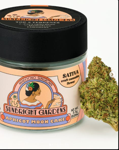 Apricot Moon Cake — Big Buds - 3.5g