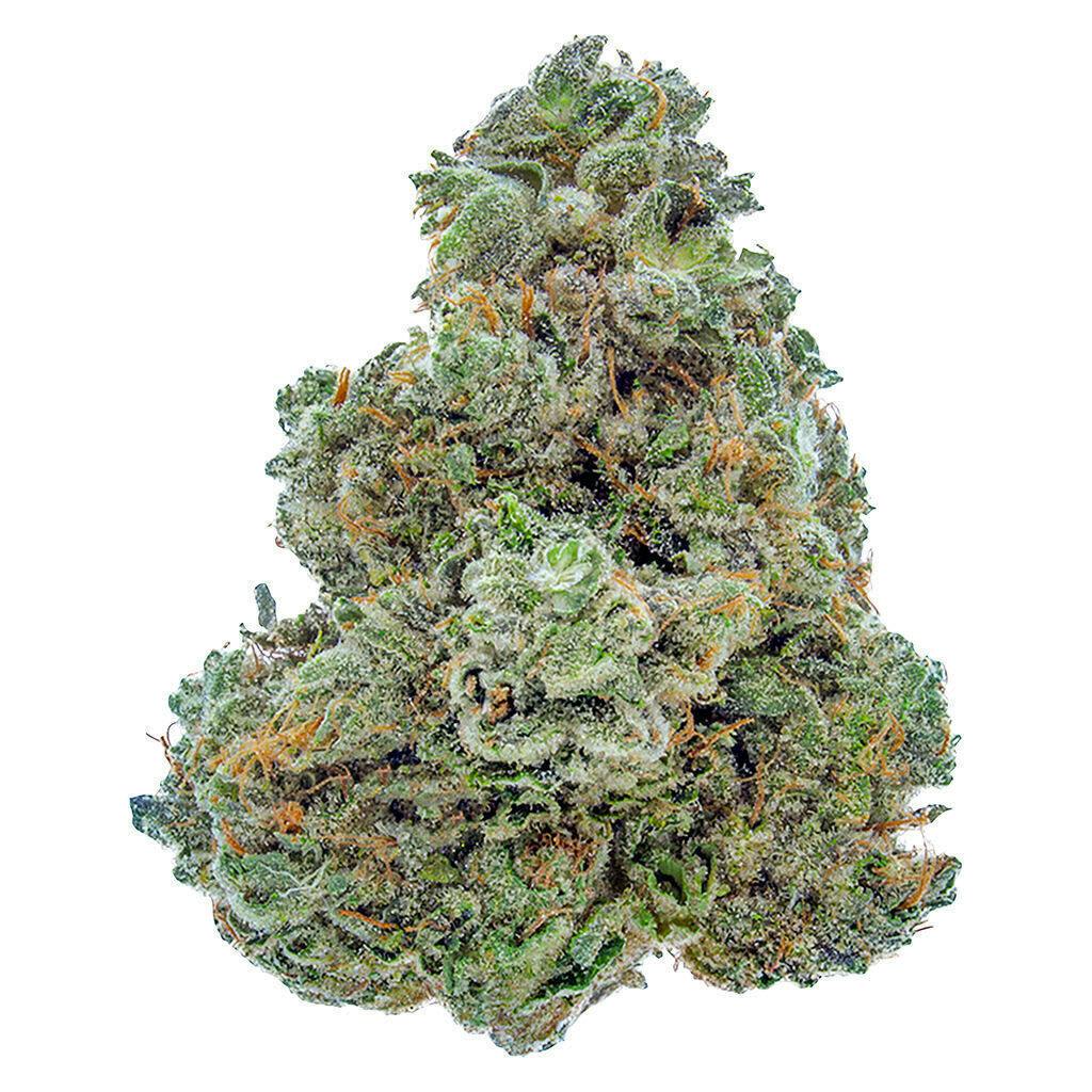 Pearl Tea | Big Buds | 3.5g
