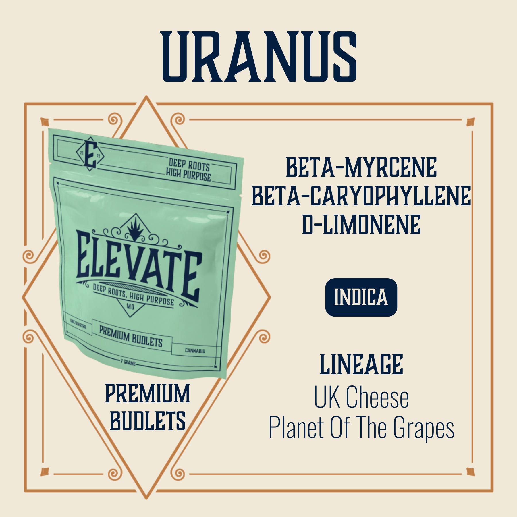 Uranus | Smalls | 7g by Elevate