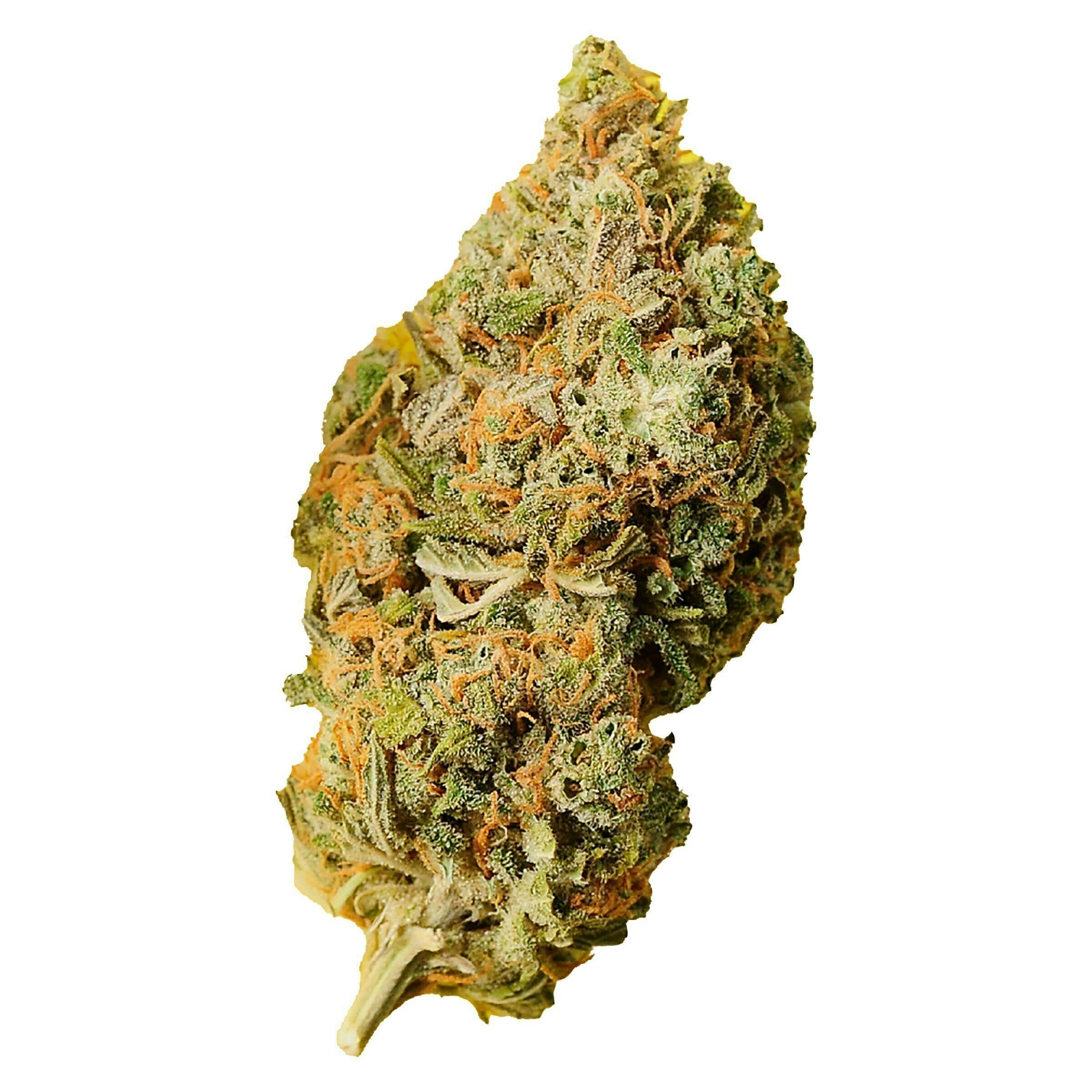 Orange Bud | Buds | 28g