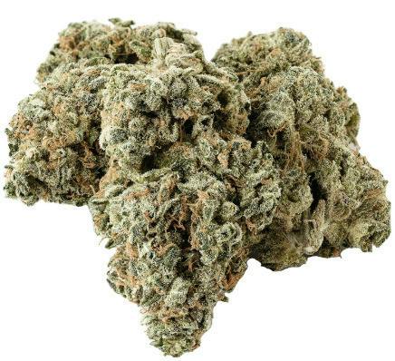 Project X | Buds | 3.5g
