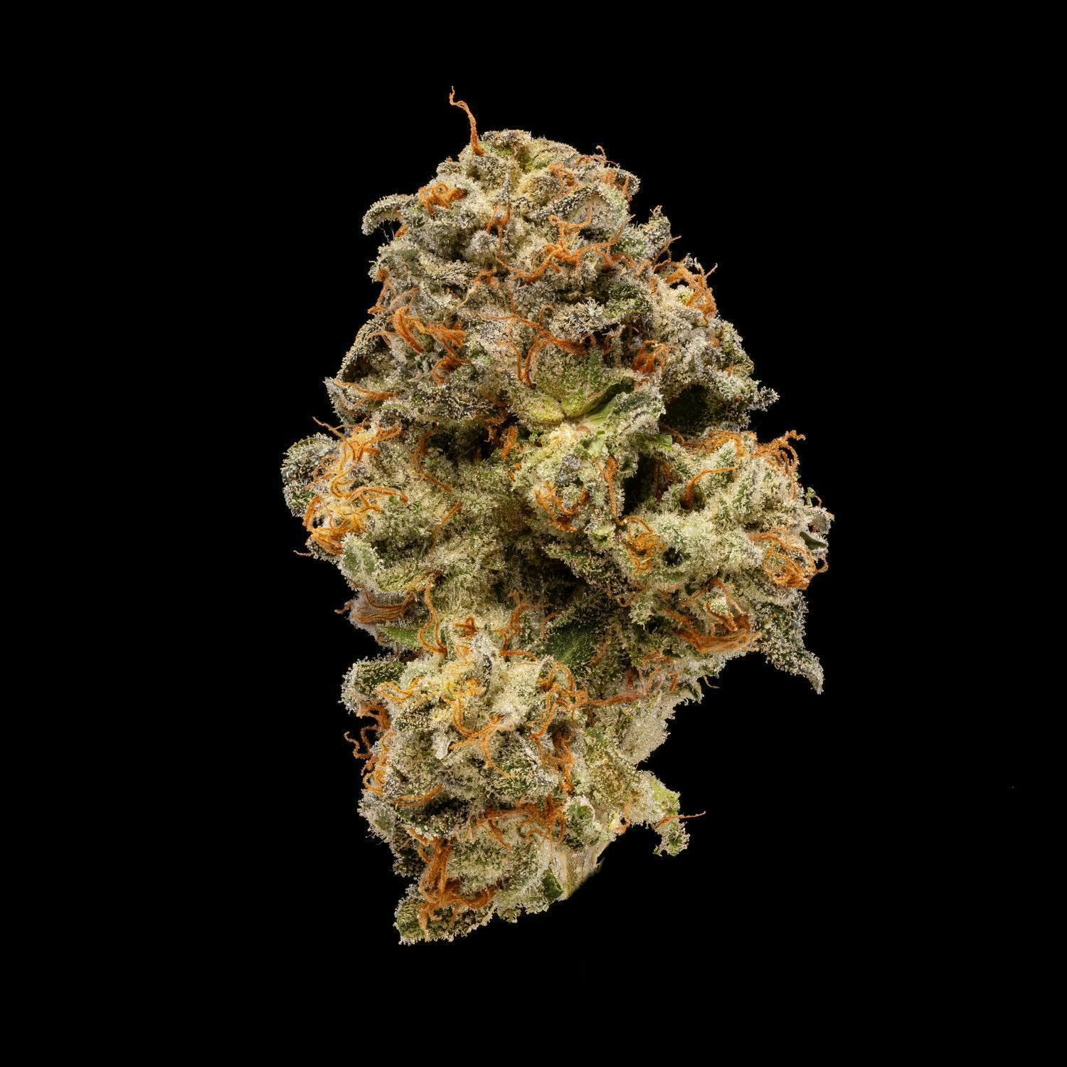 Power | Big Buds | 3.5g by Plaid Jacket