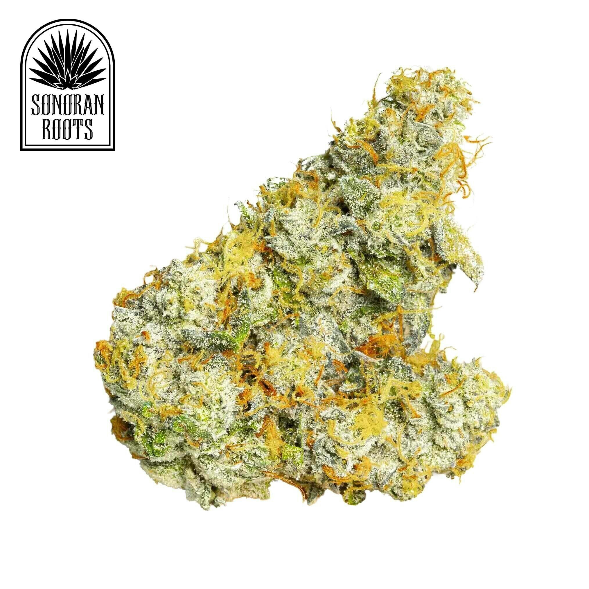 Chocolate and Cream | Big Buds | 14g by Sonoran Roots