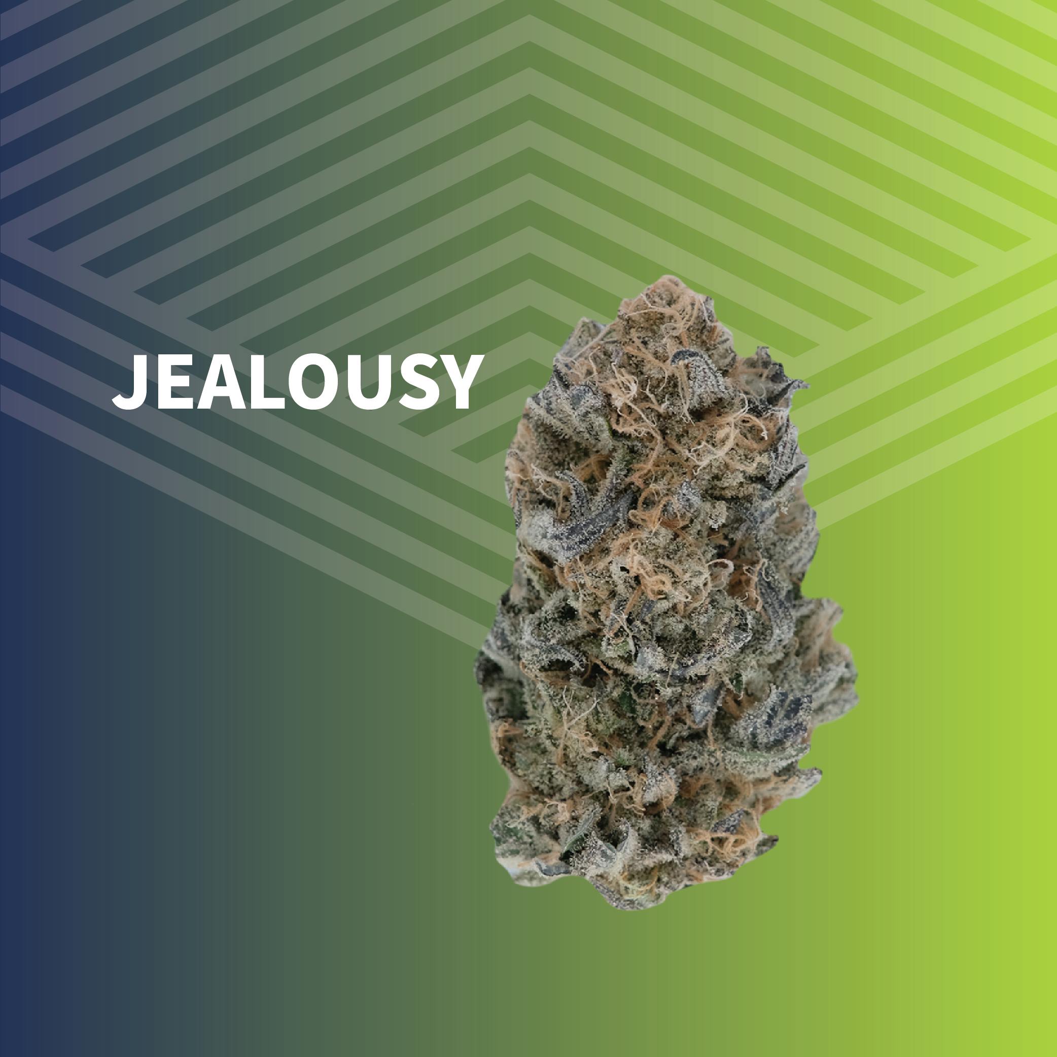 Jealousy | Big Buds | 1g by Pure Dakota