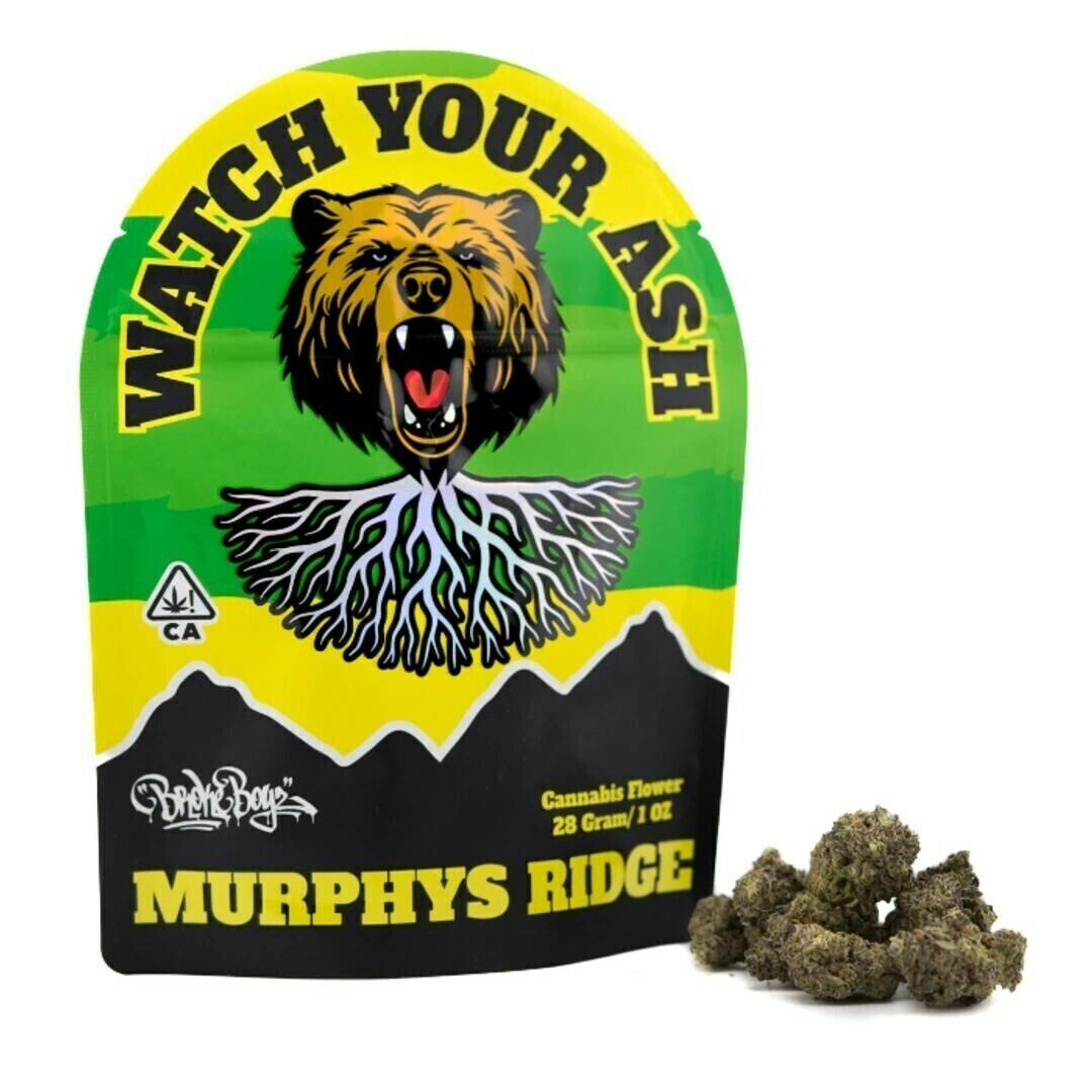 sugarcone | Big Buds | 28g
