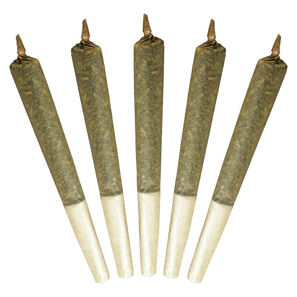 Big Buddy Sativa | Joints | 1g | 5pk