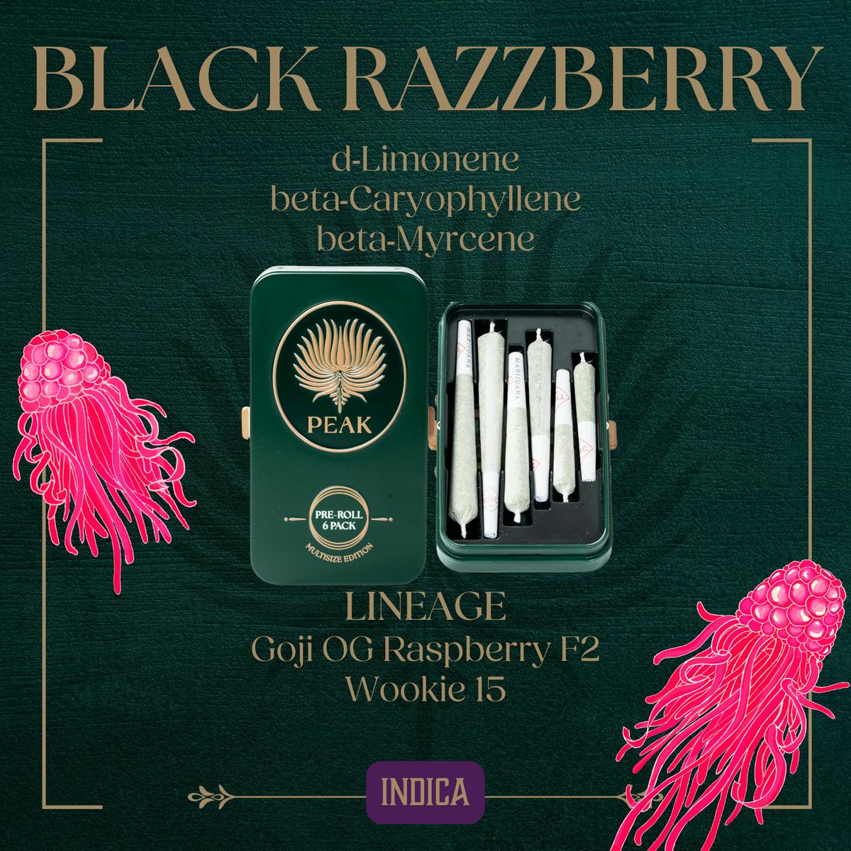 Black Razzberry | Joints | 0.583g | 6pk